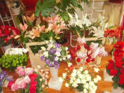 FLORARIA HELIANTHUS > livrari flori si aranjamente florale pentru nunti si evenimente speciale, Baia Mare, MM, m4817_2.jpg